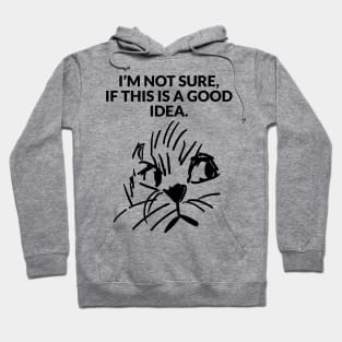 I'm not sure , if this is a good idea. Hoodie